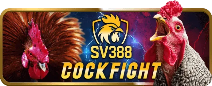 Đá Gà Tre acb8 nhà cái